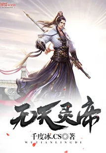 《无天灵帝》小说封面