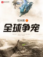 《全球争宠》小说封面