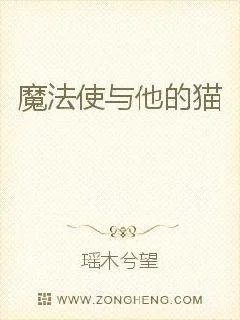 《魔法使与他的猫》小说封面