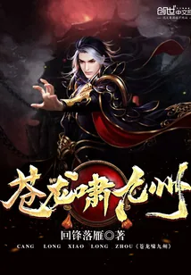 《苍龙啸九州》小说封面