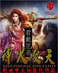 《神火凌天》小说封面