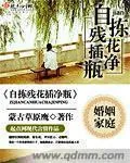《自拣残花插净瓶》小说封面