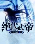 《绝代武帝》小说封面