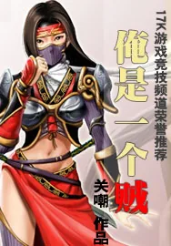 《俺是一个贼》小说封面