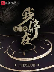 《我停在这二天》小说封面