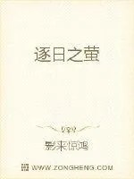 《逐日之萤》小说封面