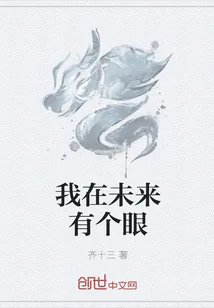 《我在未来有个眼》小说封面