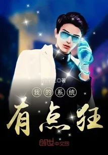 《我的系统有点狂》小说封面
