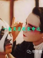 《一朵灵芝改变命运》小说封面