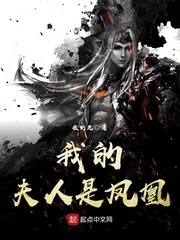 《我的夫人是凤凰》小说封面