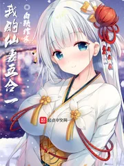 《我的仙妻五合一》小说封面