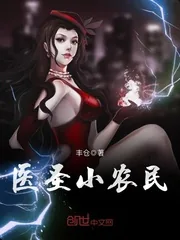 《医圣小农民》小说封面