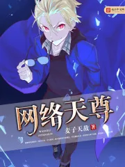 《网络天尊》小说封面