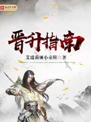 《晋升指南》小说封面