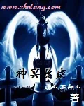 《神冥屠虐》小说封面