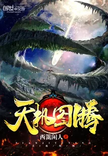 《天机图腾》小说封面
