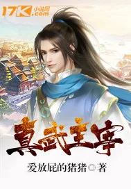《真武主宰》小说封面