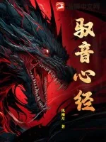 《驭音心经》小说封面