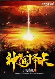 《神道择天》小说封面