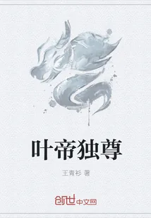 《叶帝独尊》小说封面