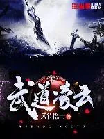 《武道凌云》小说封面
