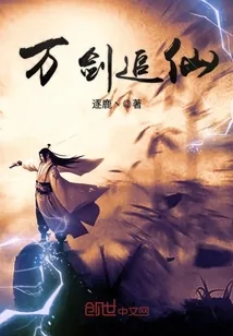《万剑追仙》小说封面