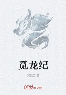 《觅龙纪》小说封面