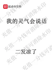 《我的灵气会说话》小说封面