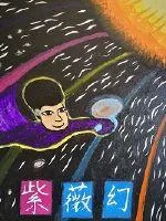 《紫薇幻》小说封面