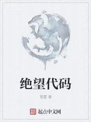 《绝望代码》小说封面