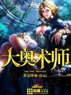 《大奥术师》小说封面