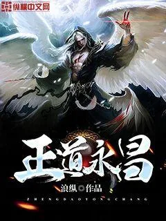 《正道永昌》小说封面