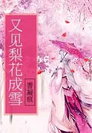 《又见梨花成雪》小说封面