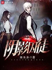《阴影囚徒》小说封面