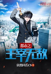 《都市之主宰无敌》小说封面