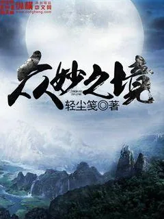 《众妙之境》小说封面