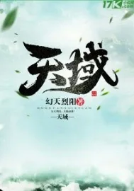 《天域》小说封面