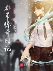 《都市惊奇日记》小说封面