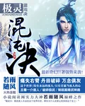 《极灵混沌决》小说封面