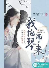 《我抱琴而来》小说封面