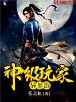 《神级玩家异界游》小说封面