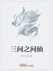 《三问之问仙》小说封面