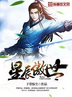 《星辰傲世》小说封面