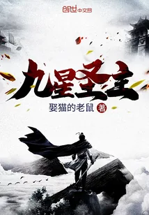 《九星圣主》小说封面
