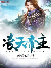 《凌天帝主》小说封面