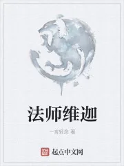 《法师维迦》小说封面