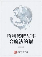 《哈利波特与不会魔法的獾》小说封面