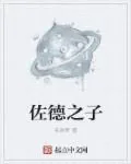 《佐德之子》小说封面