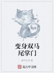 《变身双马尾掌门》小说封面