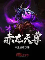 《赤龙天尊》小说封面